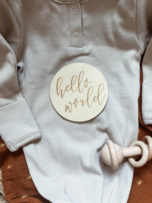 Hello World - Birth Announcement Sign